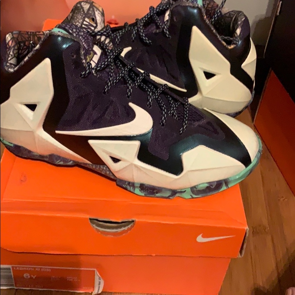 Lebron 11 gator king